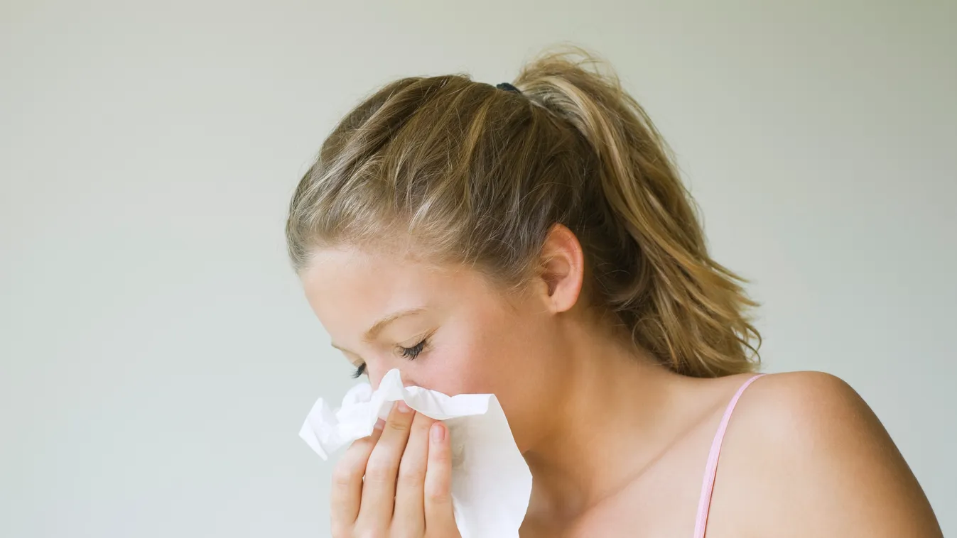 ALLERGY alergia tüsszentés sneeze 