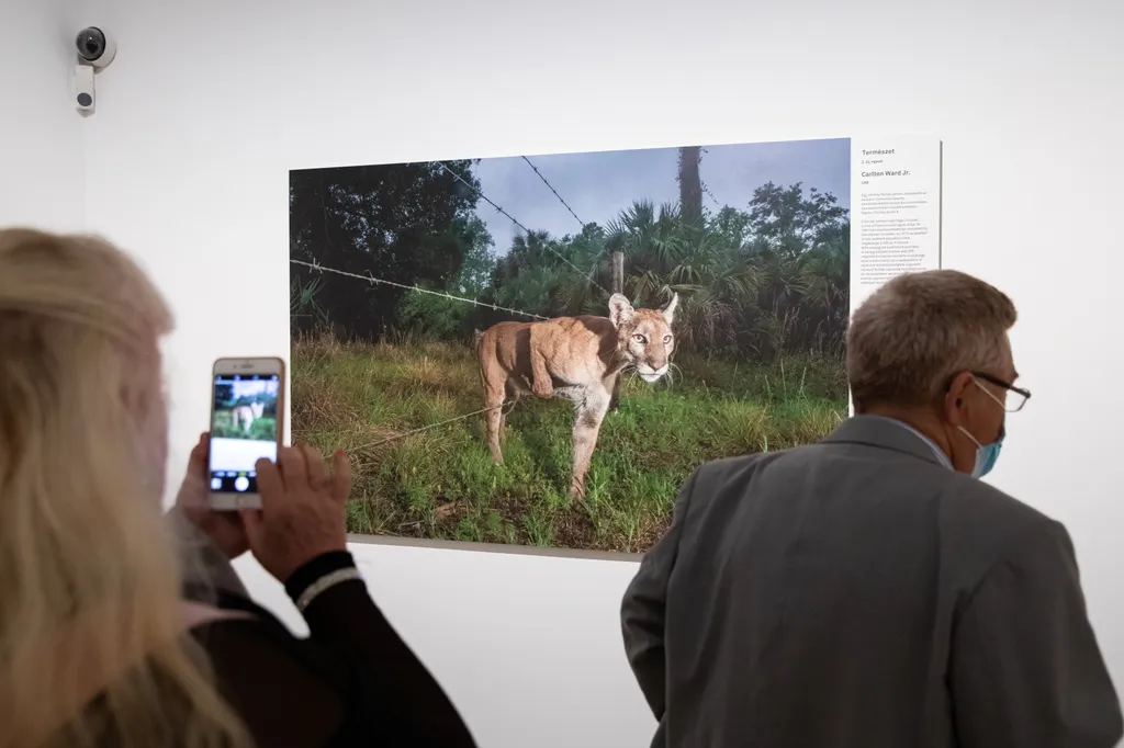 A World Press Photo 2021-es kiállításának megnyitója, galéria, 2021 