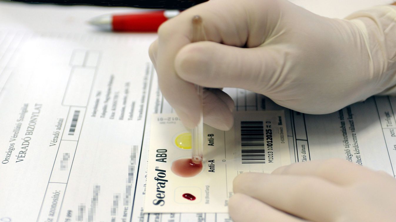 AIDS HIV vér fertőzés betegség  gumikesztyű kéz TESTRÉSZ véradás vércsoport-megállapítás vércsoport-vizsgálat vérminta vizsgálat Pécs, 2010. december 1.
Megállapítják egy vérminta vércsoportját a Magyar Orvostanhallgatók Egyesületének Pécsi Helyi Bizottsá