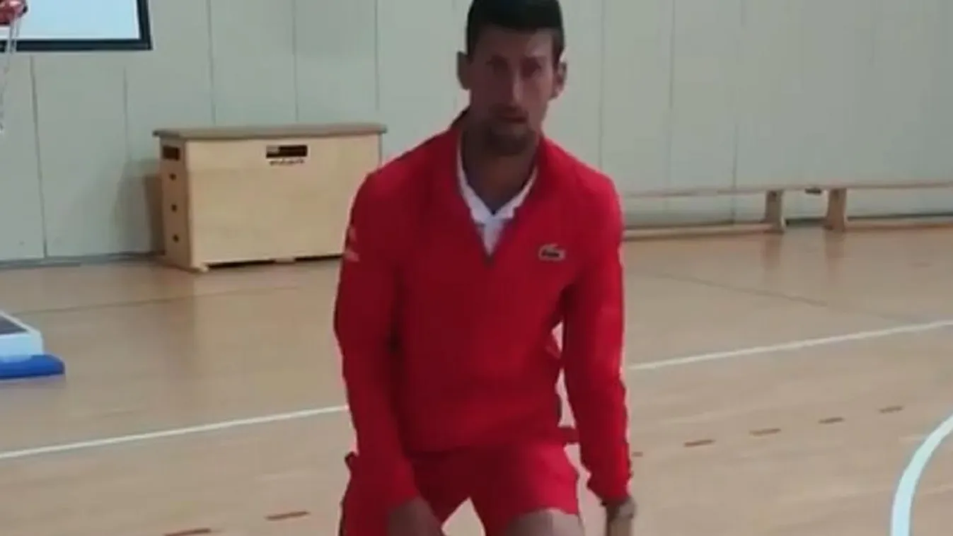 Novak Djokovic, 