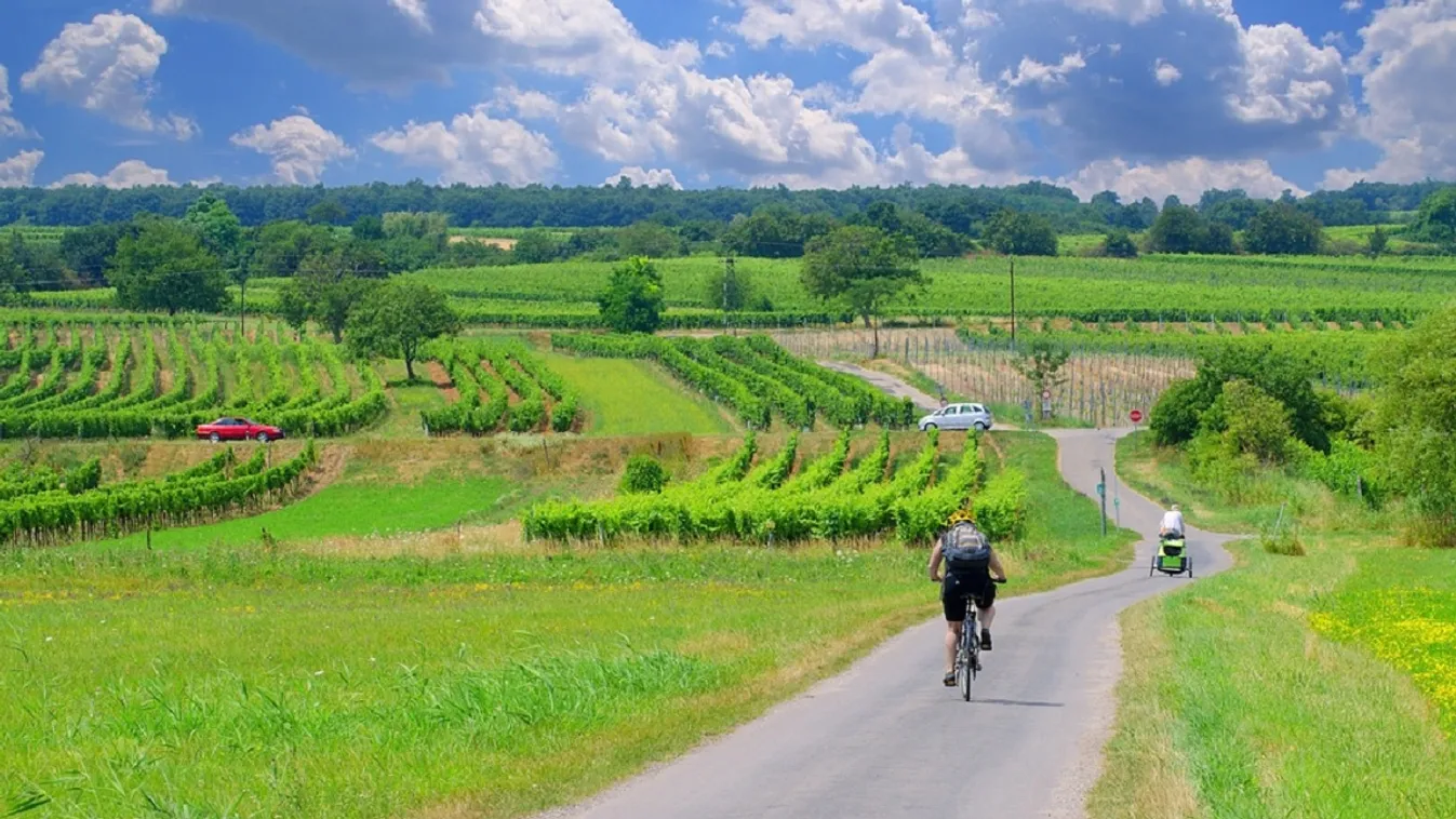 Ausztria, Burgenland, kerékpárosok 