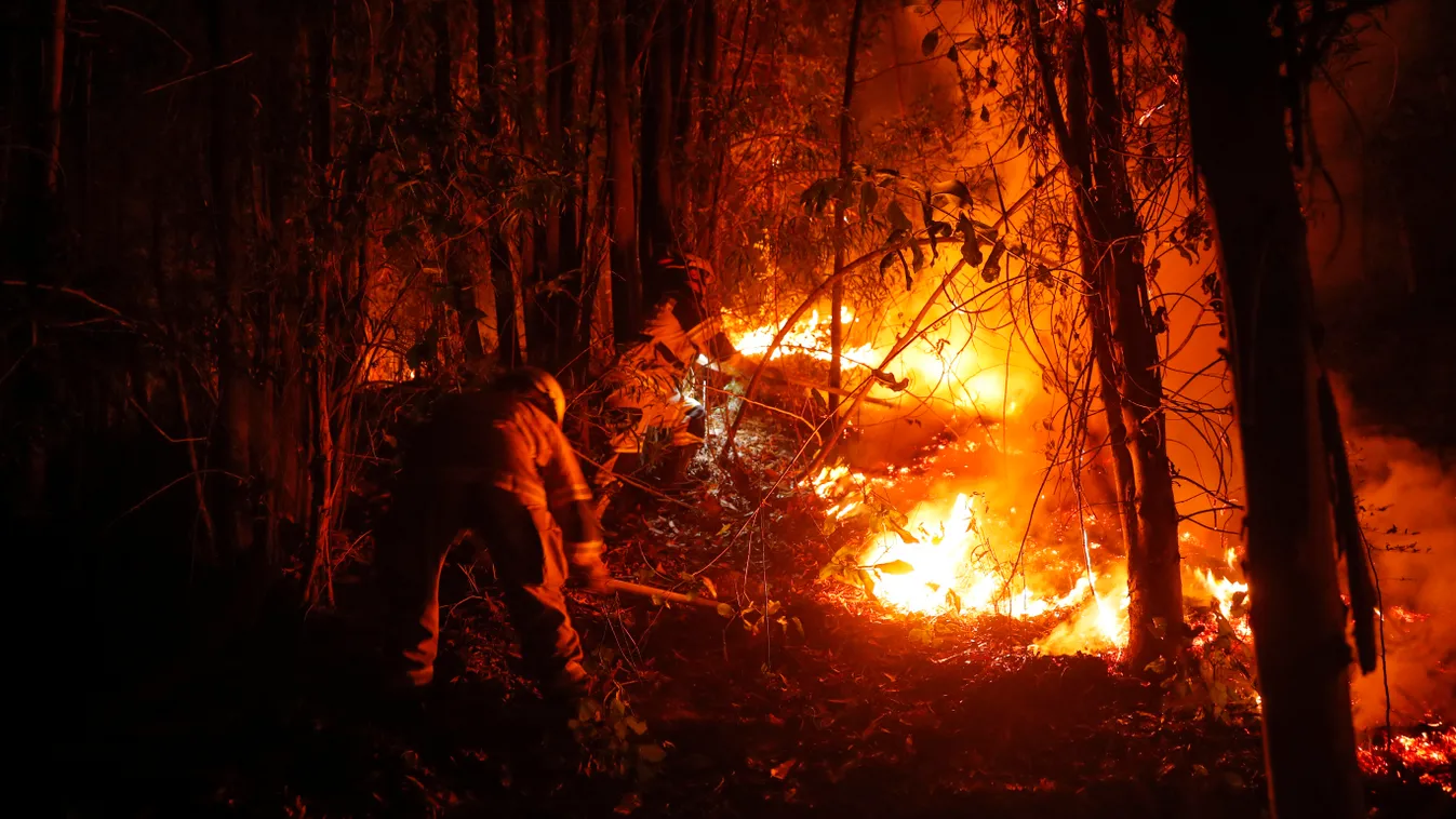 Chile, hőség, erdőtűz, pusztítás, halálos áldozatok, tűzoltó, tűzoltás, Santa Juana, 2023. 02. 03., 02. 04., 02. 05. 
