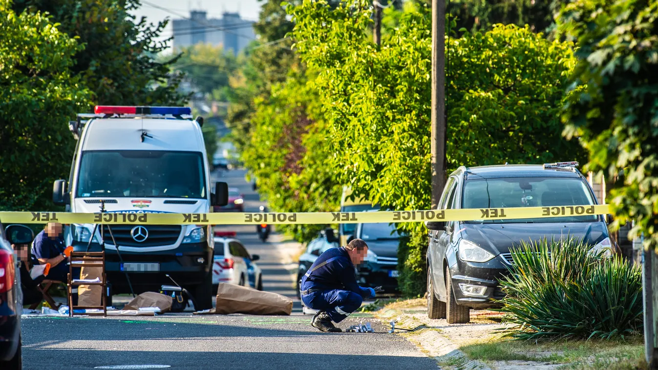 Dunakeszi, gyilkosság, hármas gyilkosság, Kisfaludy utca 