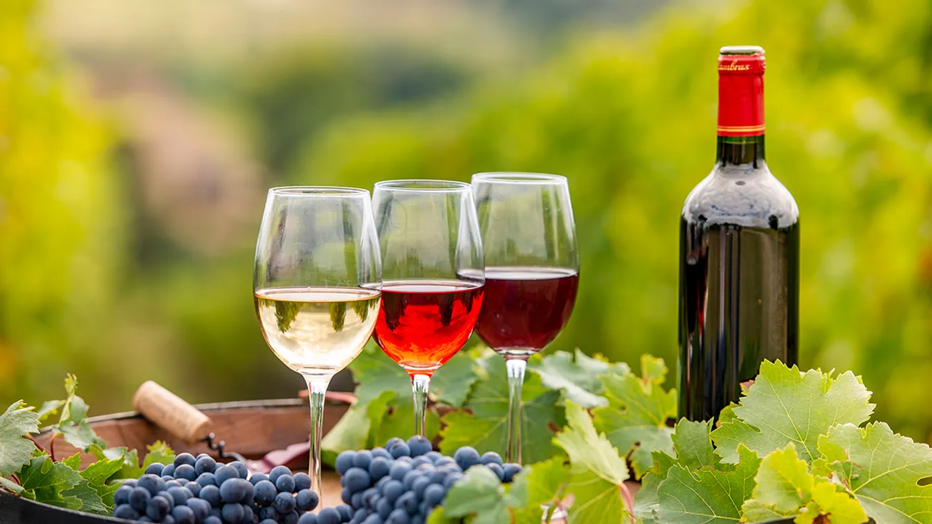 bor szőlő Szuper élmények várnak októberben, ne hagyd ki ezeket a programokat! 