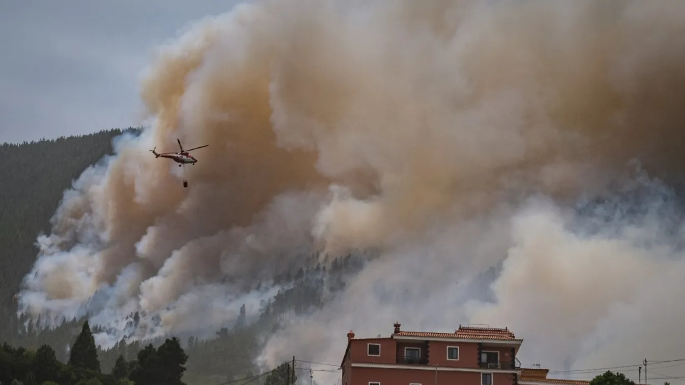 Wildfires in Spain Forest fire,Las Llanadas,Spain,Tenerife,wildfire Horizontal 