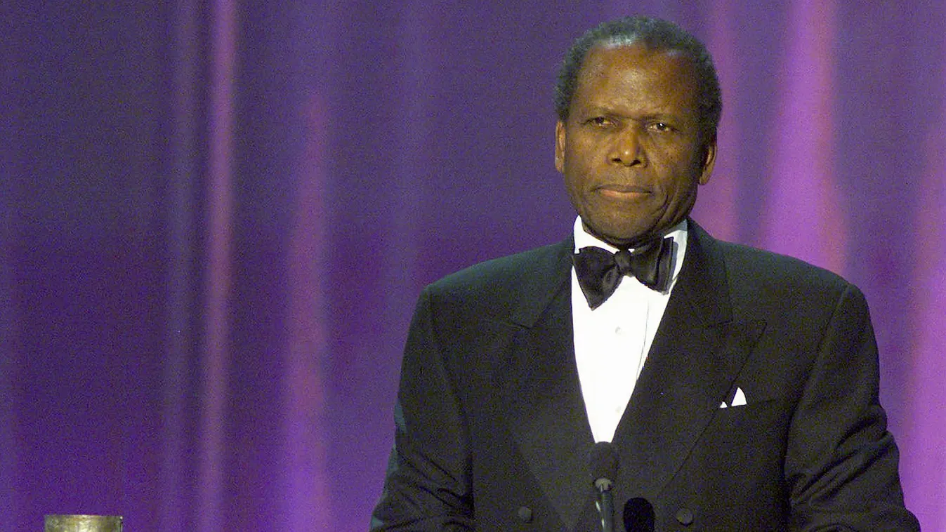 US-SAG AWARDS SHOW-SYDNEY POITIER Square Horizontal ACTOR PRIZEGIVING 