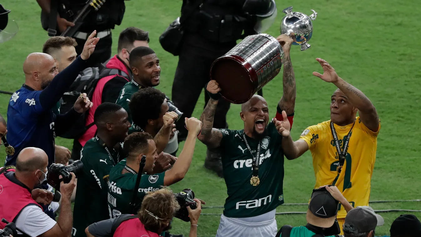 fbl Horizontal, Palmeiras, Felipe Melo 