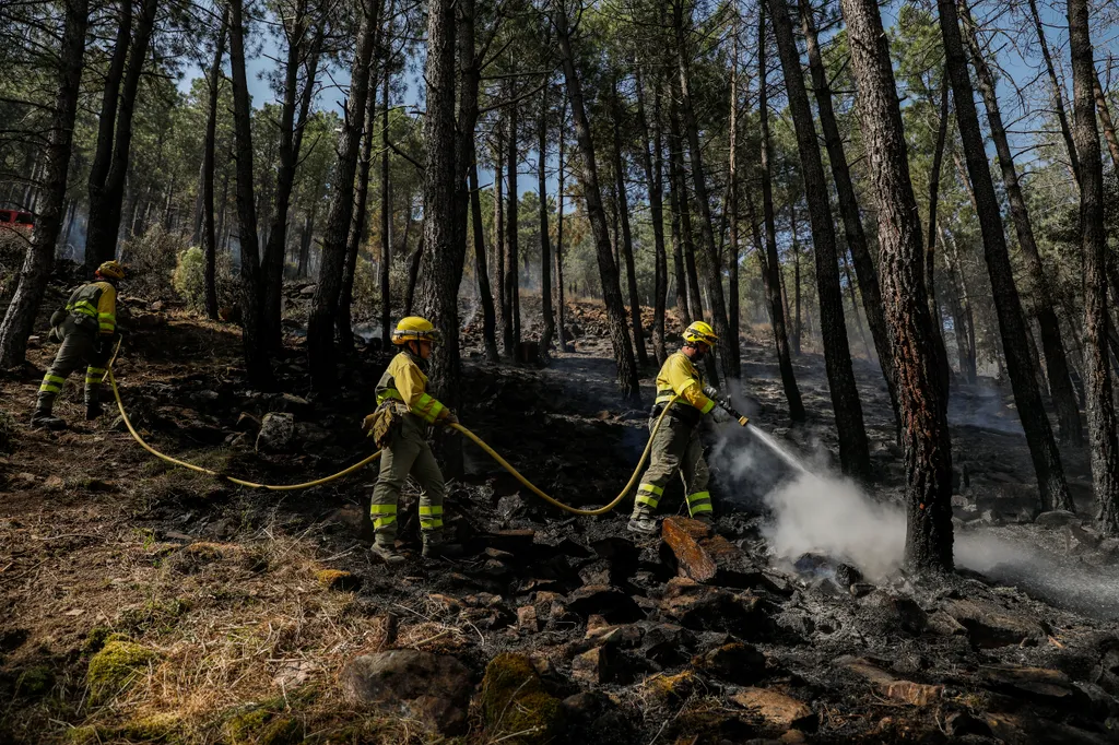 erdőtűz, spanyolország, tűzoltó, repülő, Ávilla tartomány, forróság 