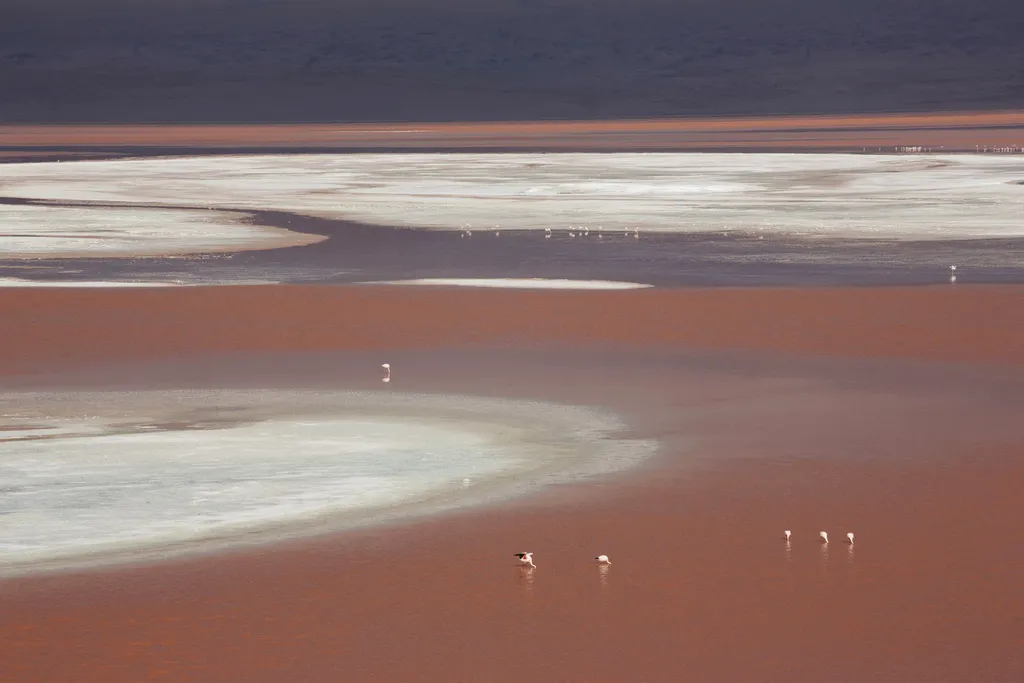 Laguna Colorada Bolívia 