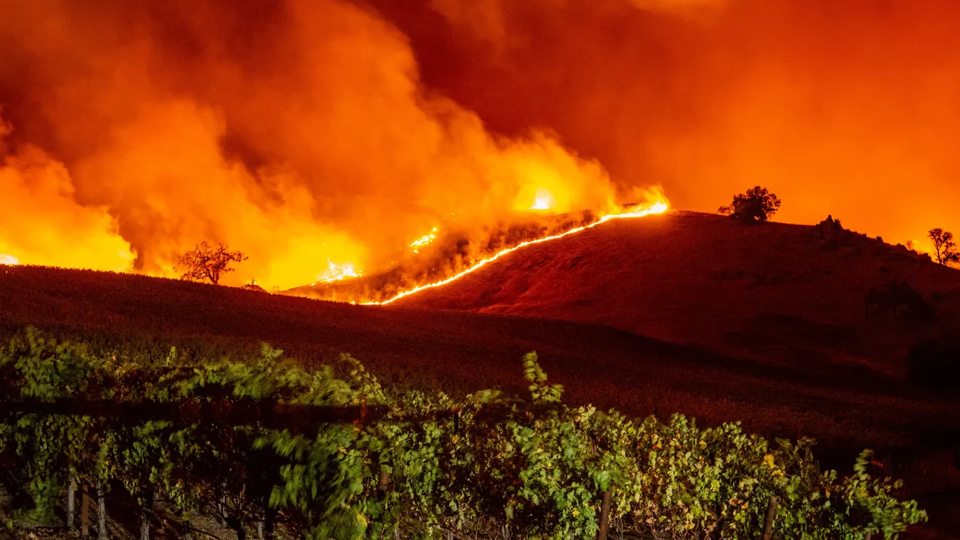 fire TOPSHOTS Horizontal Flames approach rolling hills of grape vines during the Kincade fire near Geyserville, California on October 24, 2019. - The fire broke out in spite of rolling blackouts by utility companies in both northern and Southern Californi