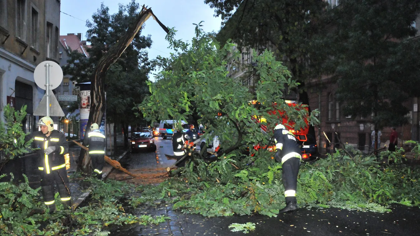 Budapest, 2014. július 22.
Tűzoltók dolgoznak egy eltört fánál Budapesten, a VIII. kerületi Nagyfuvaros utcában 2014. július 22-én. Az egész napos eső következtében eltört fa személyi sérülés nem okozott.
MTI Fotó: Mihádák Zoltán 