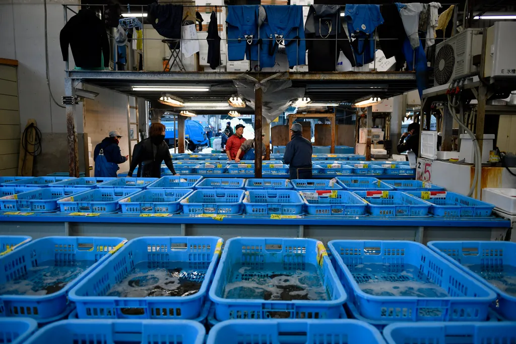 Új helyre költözik a világ legnagyobb halpiaca, Tokió 
