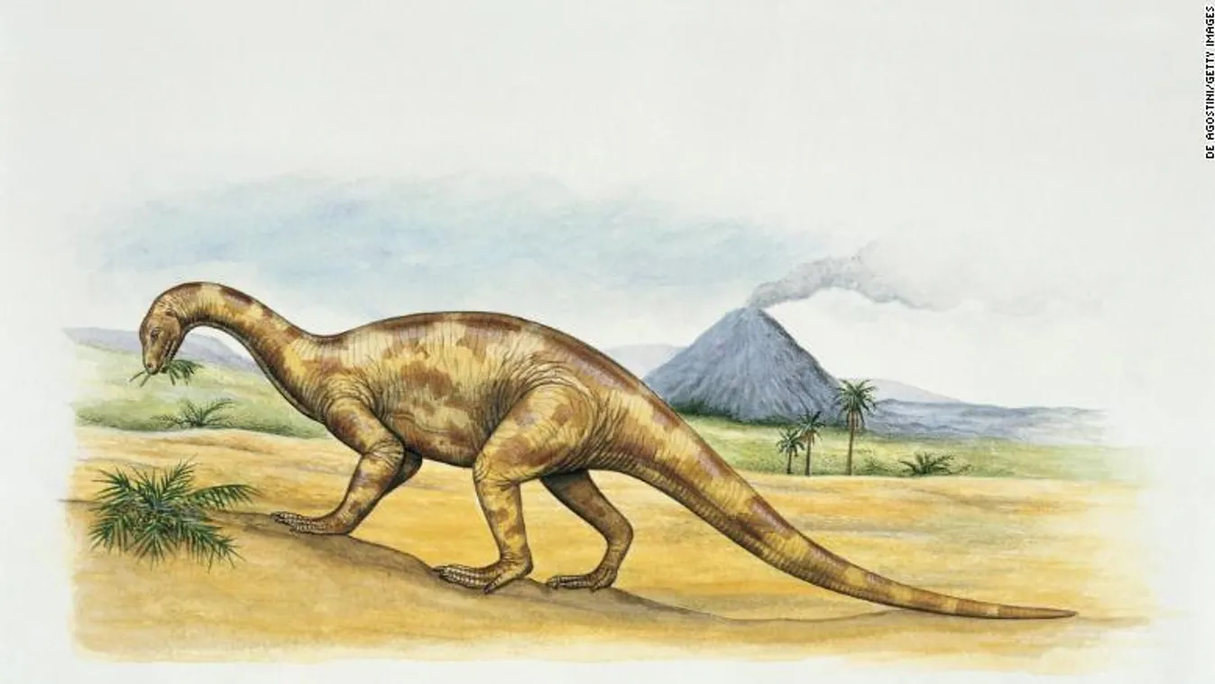Thecodontosaurus 