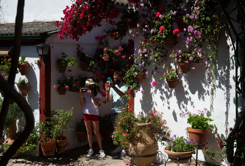 Cordoba Patios Festival Córdoba udavarfesztivál virágok 