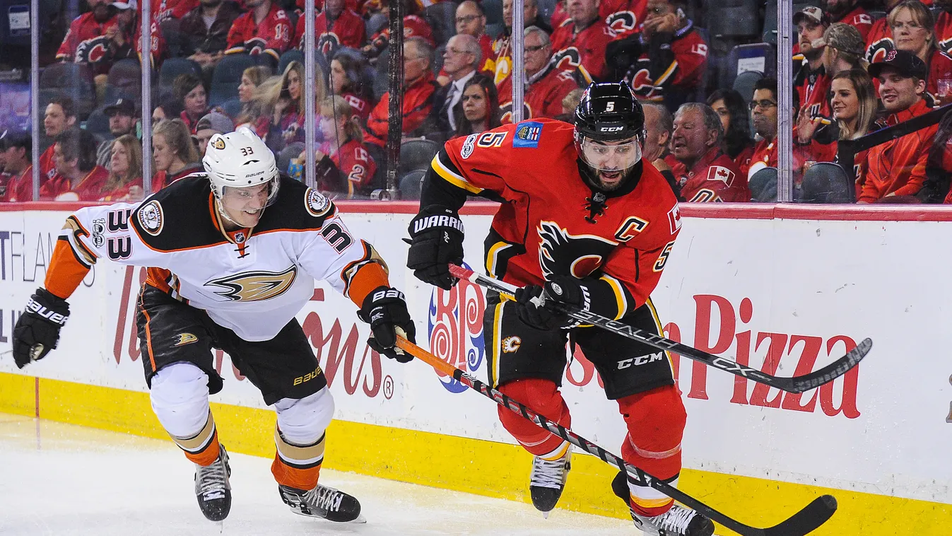 Anaheim Ducks, Calgary Flames, nhl, jégkorong 