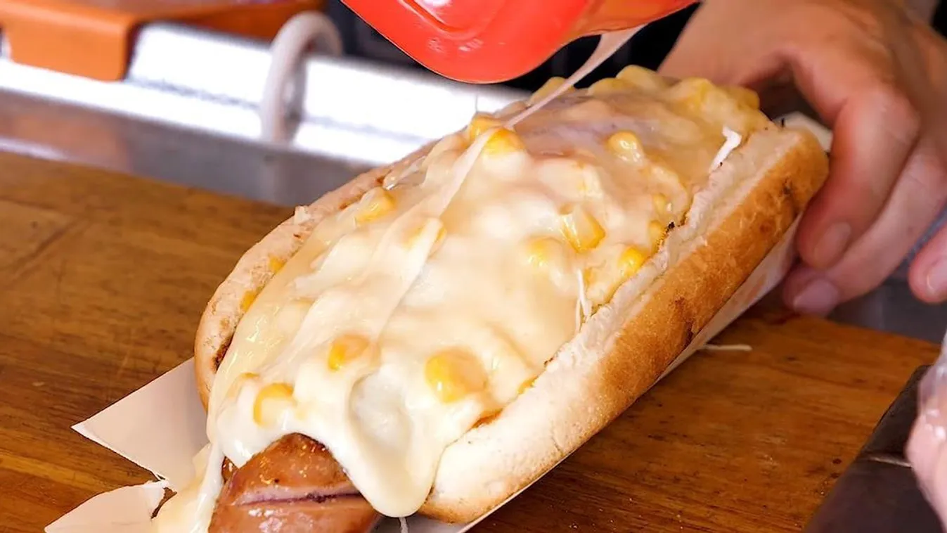 hot dog, sajt, street food 