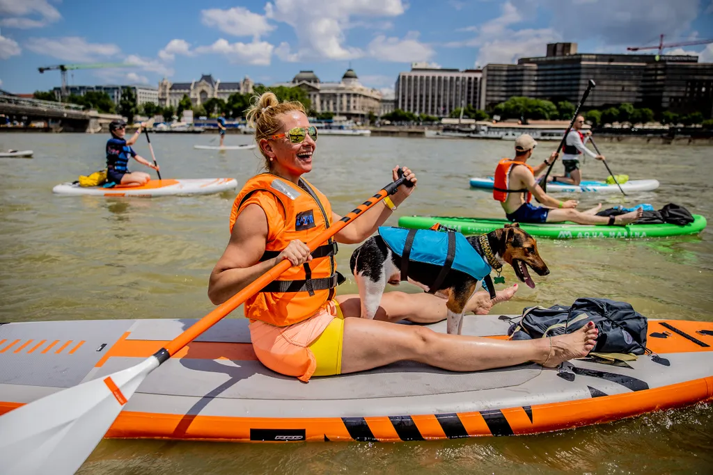 VII. Budapest SUP fesztivál, fesztivál, rendezvény, sup, Duna, Dunán, Budapest, evezés, evez, folyó, nyár, 2022 