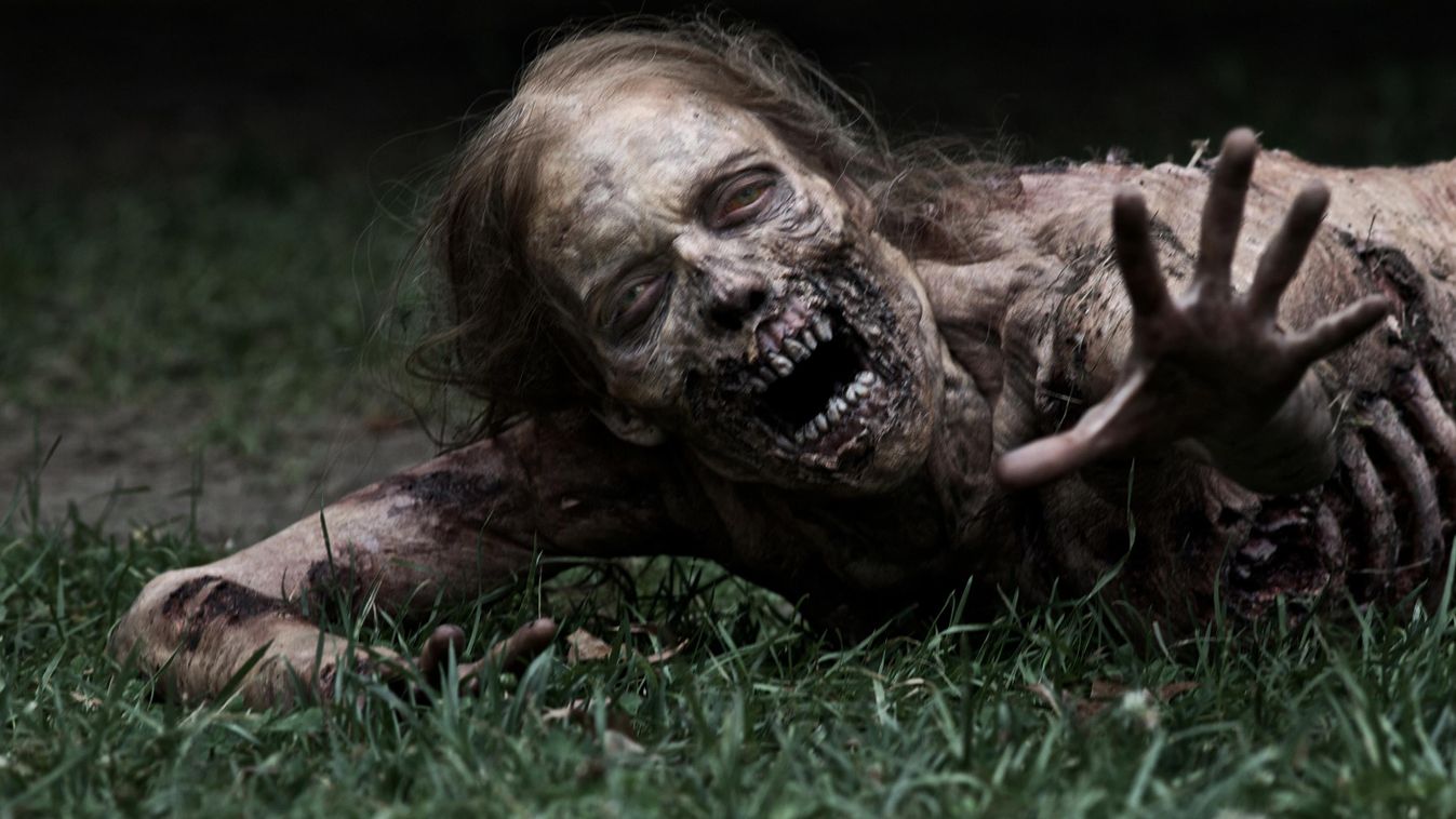 walking dead, zombi 