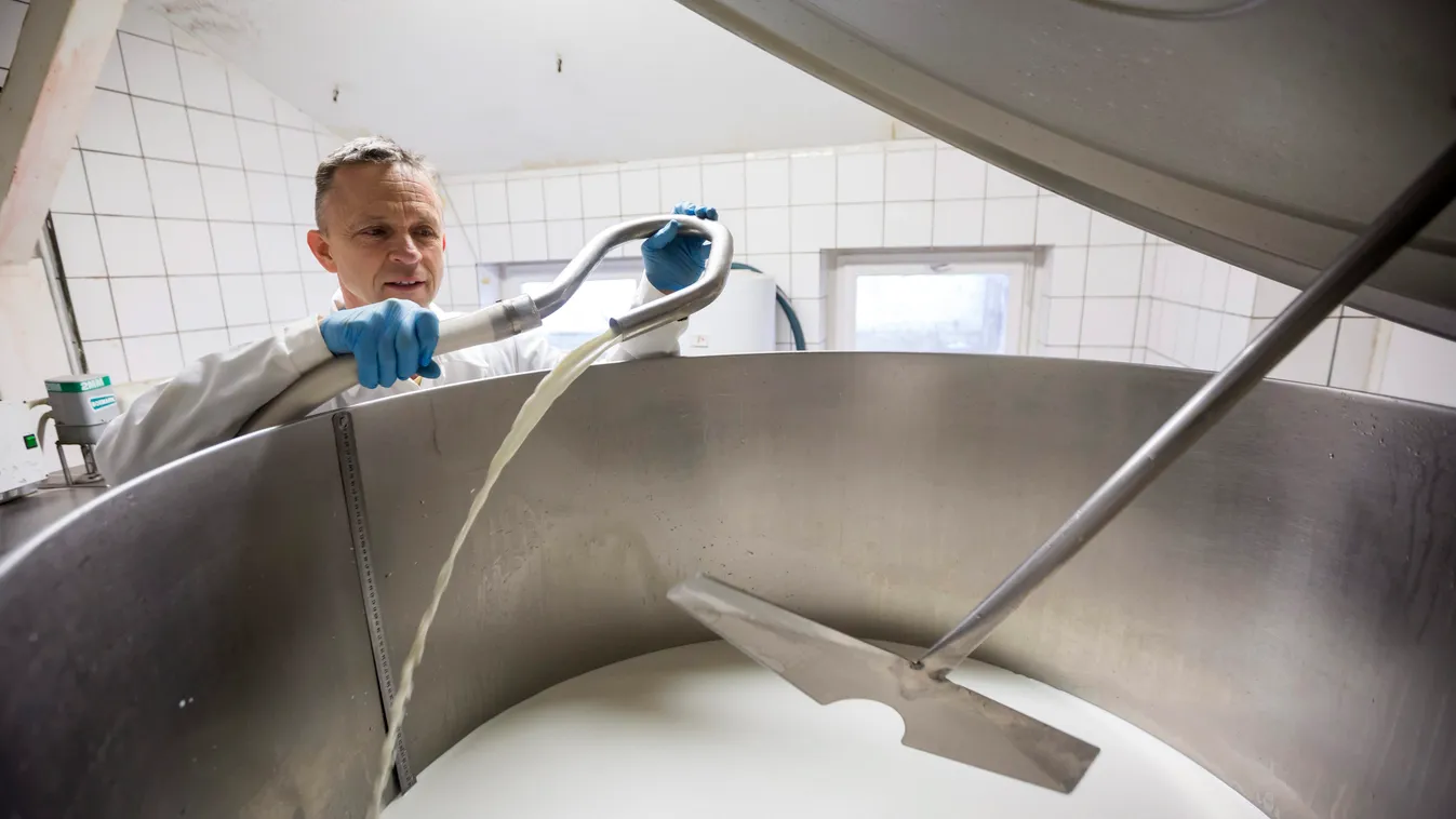 tej Fuchs Imre dolgozik Foglalkozás HÉTKÖZNAPI igazgató munka közben SZEMÉLY tej tejkád 