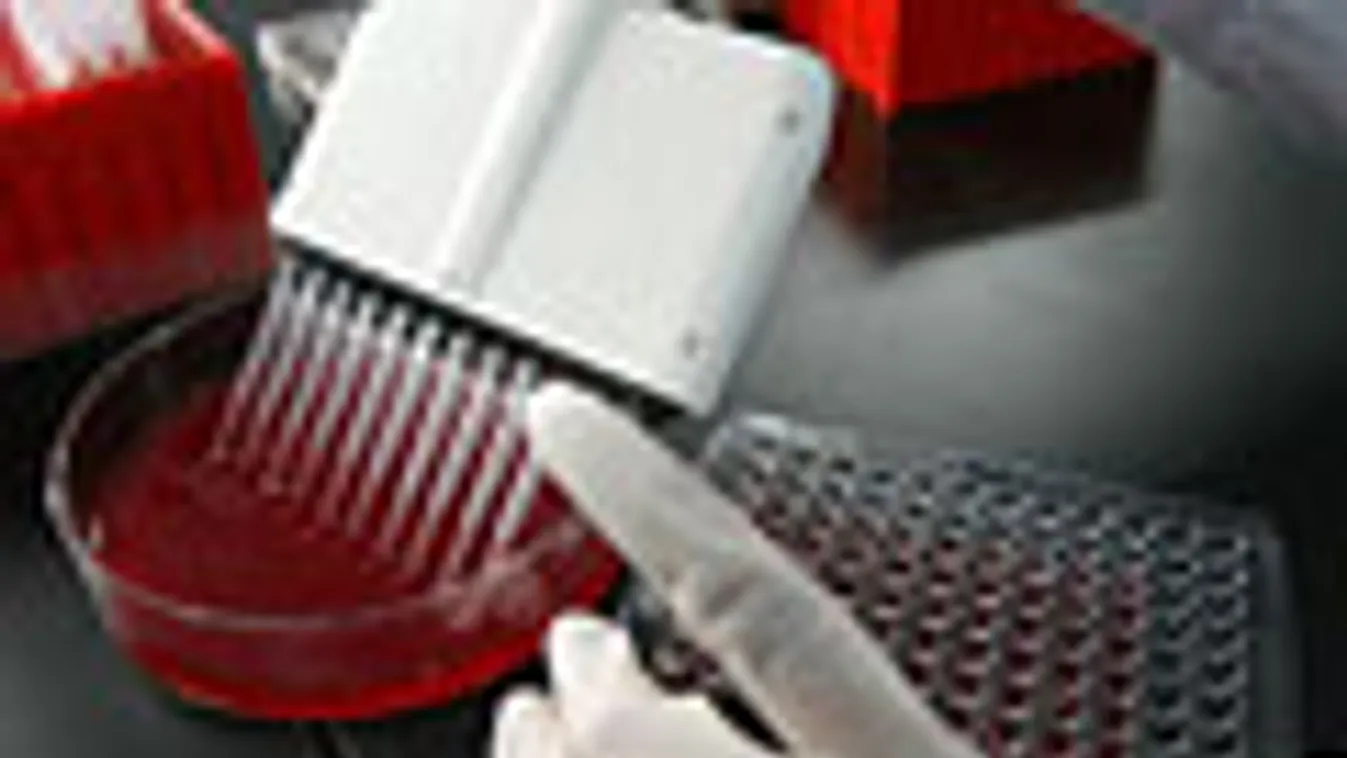 SARS vírus, tesztet készítenek egy pekingi állatorvosi rendelő laborjában