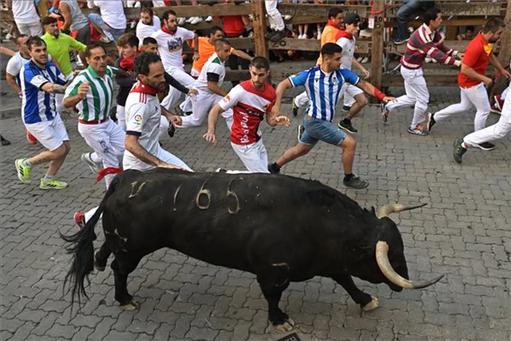 Pamplona 