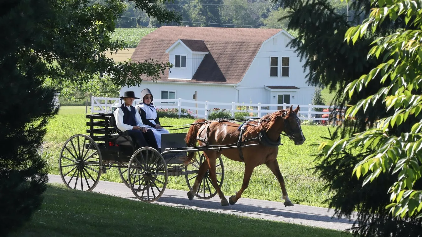 amish szekér lovaskocsi ló horse carriage chariot 