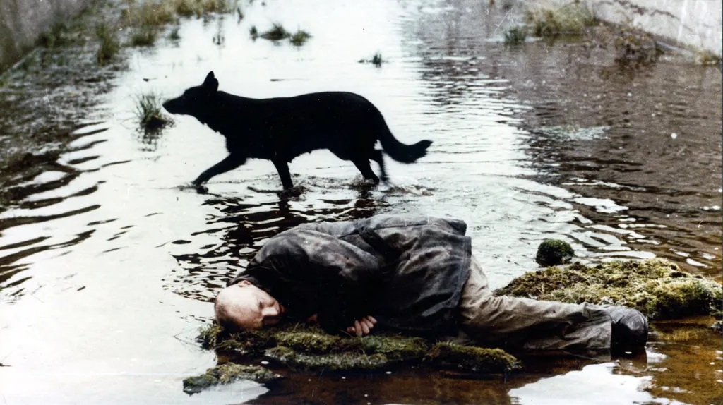 Stalker (1979) Cinema hurt Horizontal MAN DOG 