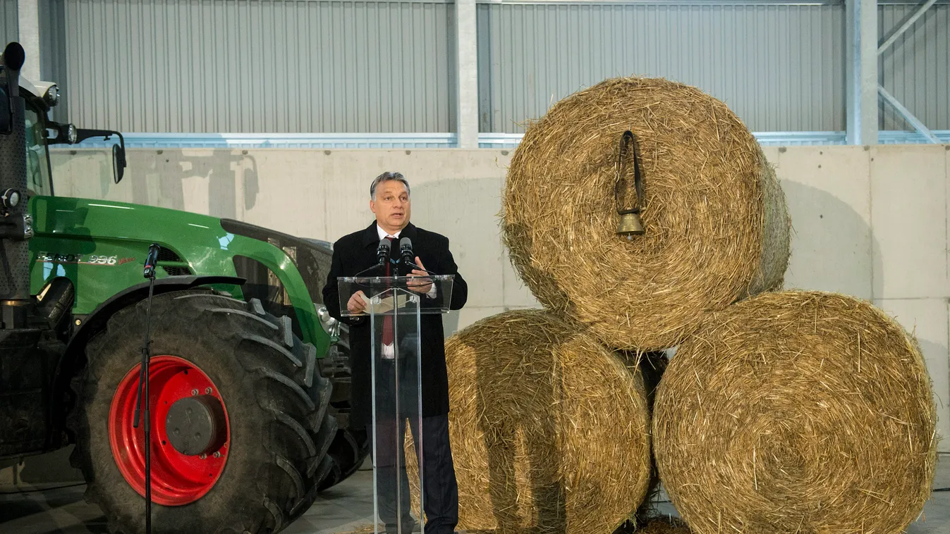 Orbán Viktor Felcsút, 2014. november 18.
Orbán Viktor miniszterelnök beszédet mond Flier János vállalkozó marhatelepének avatásán a Fejér megyei Felcsúton 2014. november 18-án.
MTI Fotó: Koszticsák Szilárd 