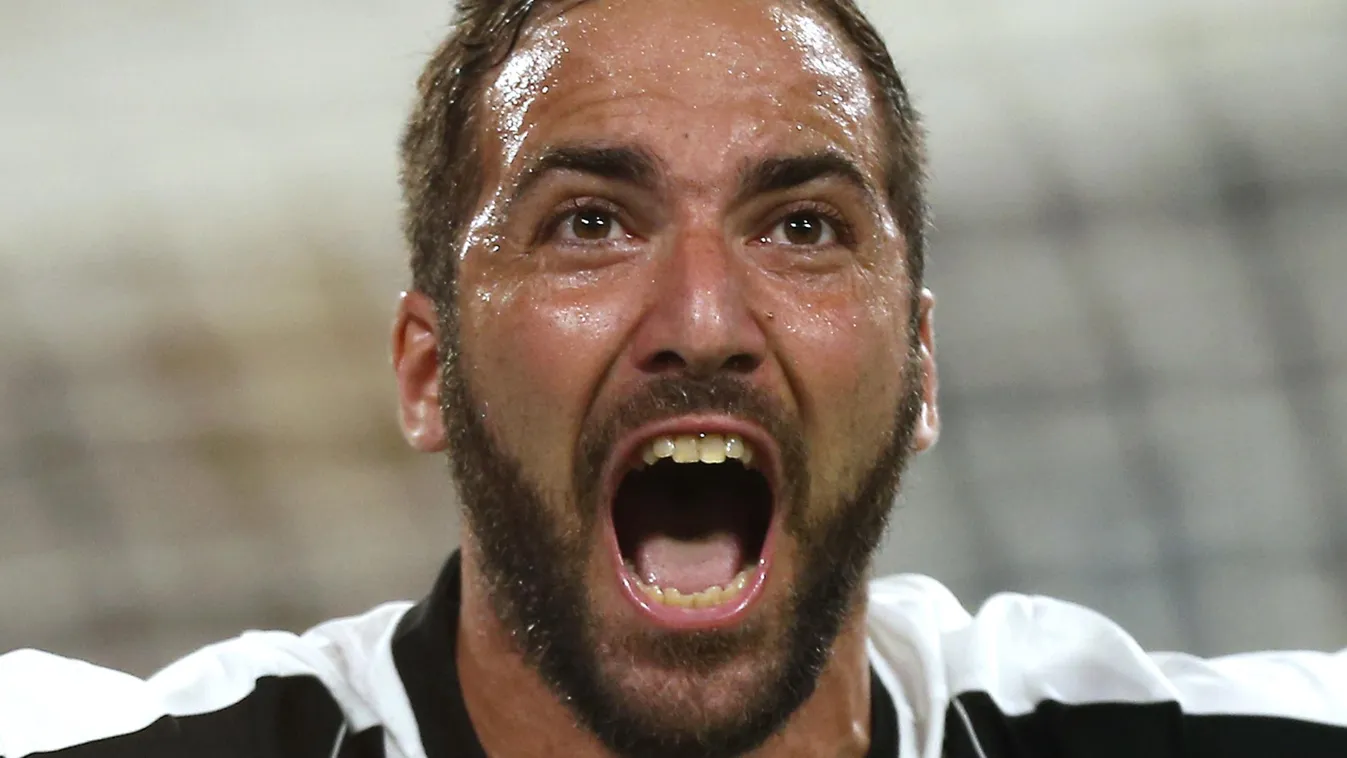 Gonzalo Higuain 