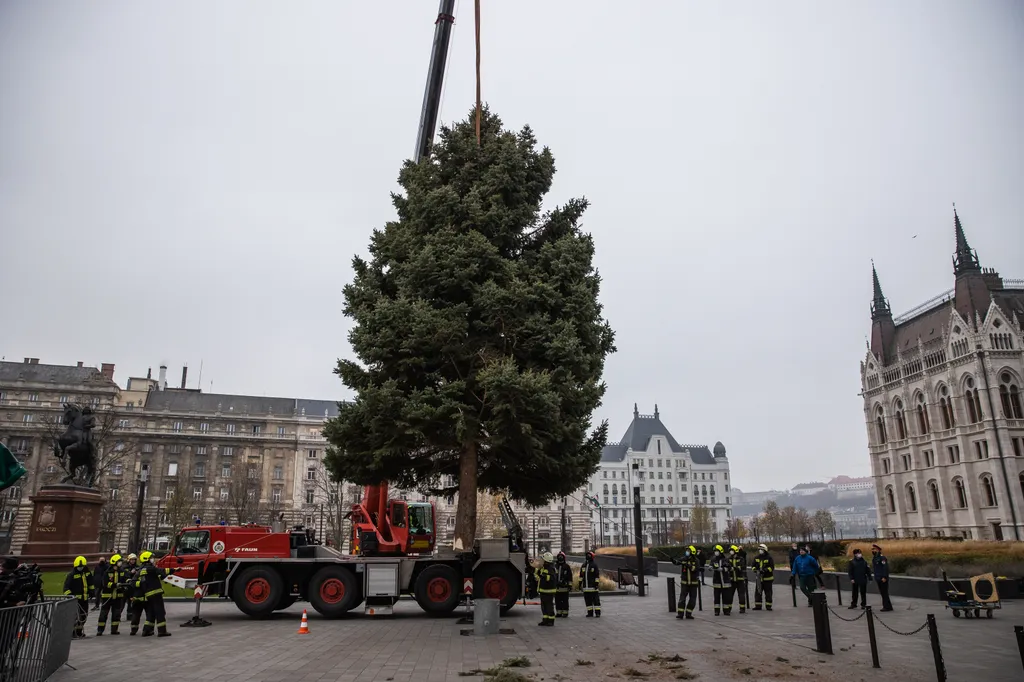 karácsonyfa, Ország Karácsonyfája, karácsony, kossuth tér, Felállítják az Ország Karácsonyfáját a Kossuth téren 2021.11.22. 
