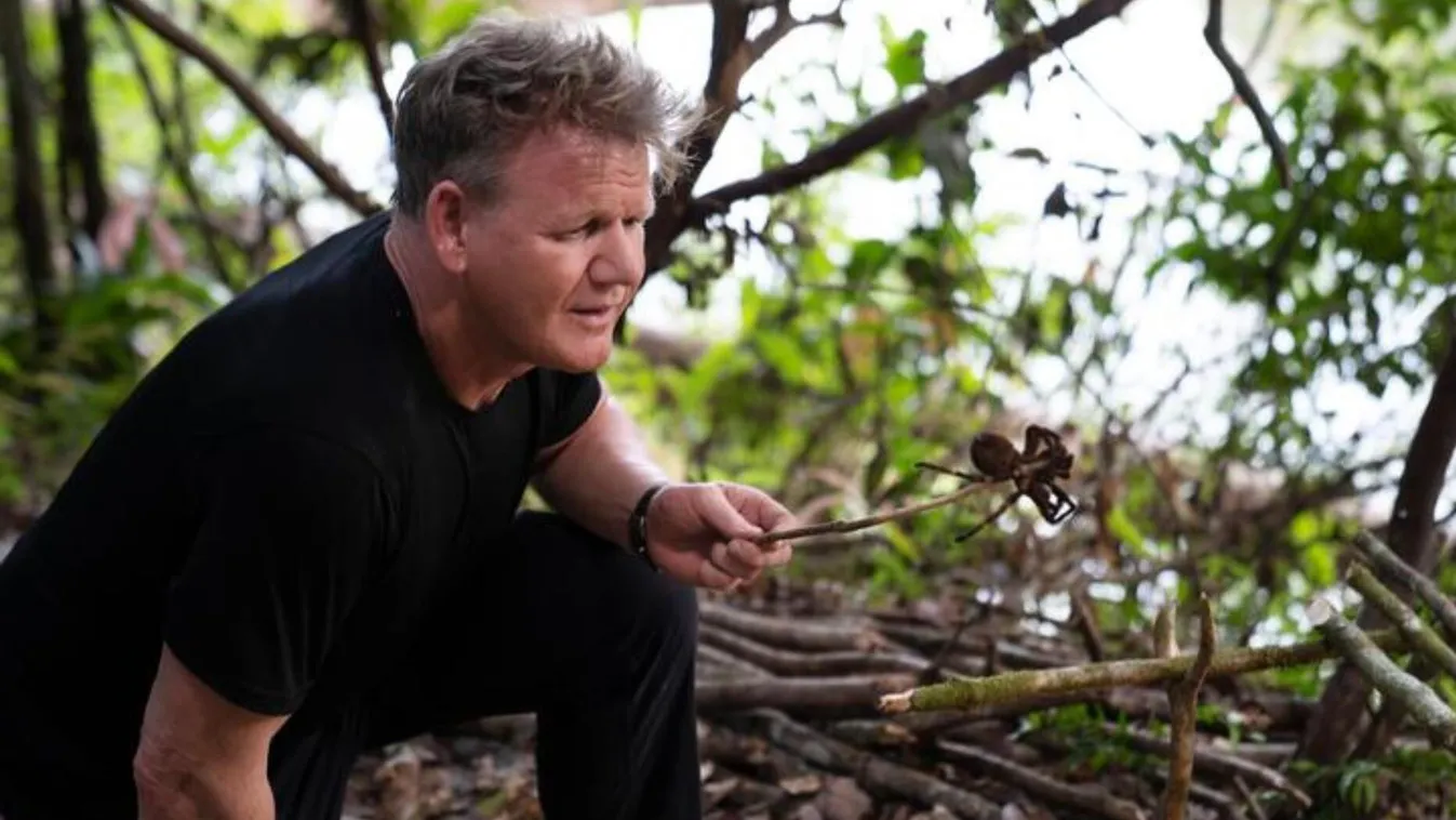 Rewa, Guyana - Gordon Ramsay cooks a tarantula for a quick snack while his freshly caught black piranha are grilling. (Credit: National Geographic/Justin Mandel) 