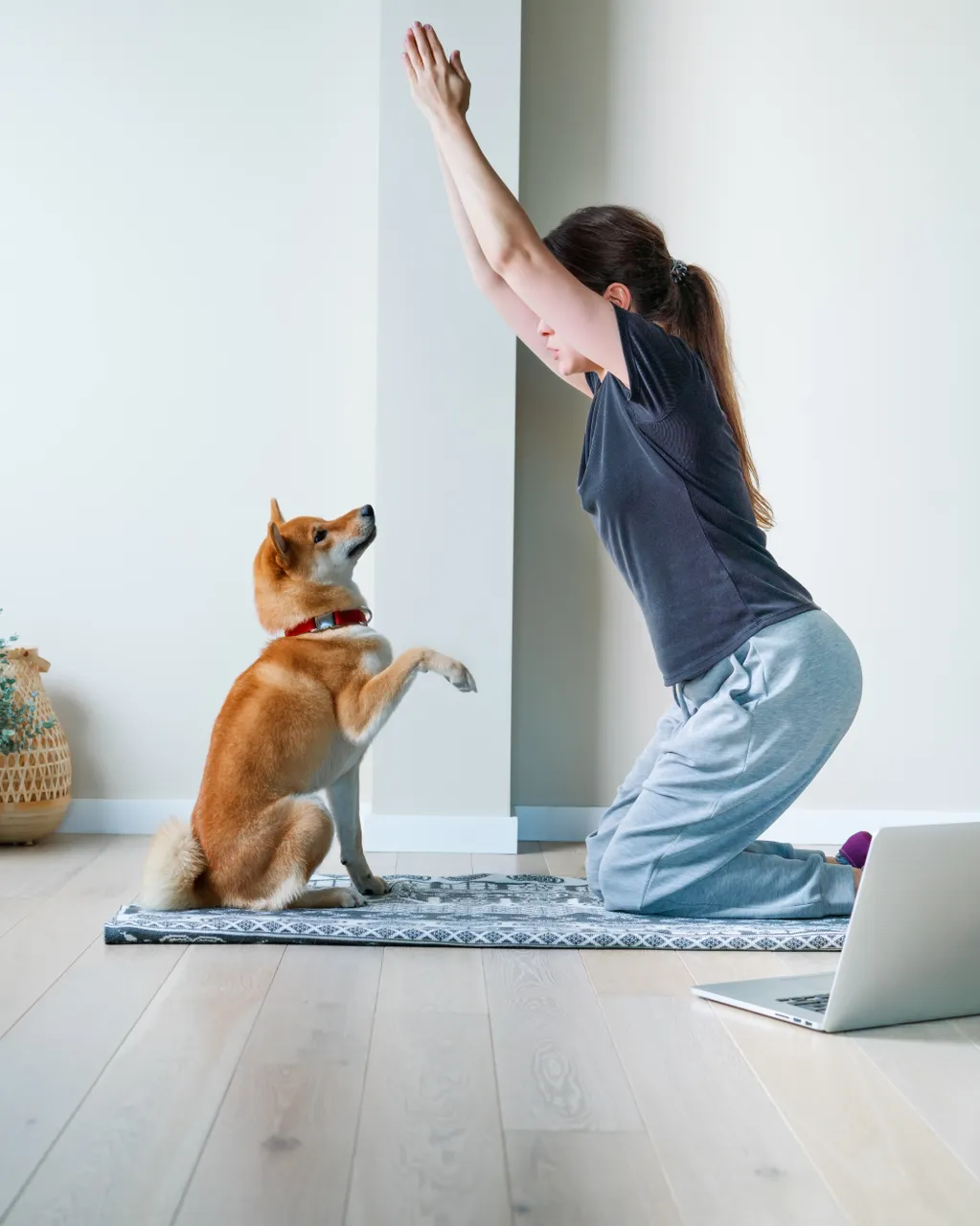 Otthoni jógázás kutyával 
 Young,Woman,In,Yoga,Position,Balancing,With,Her,Dog.,Home woman,distance,yoga,exercise,funny moments,training,shiba inu,bo 