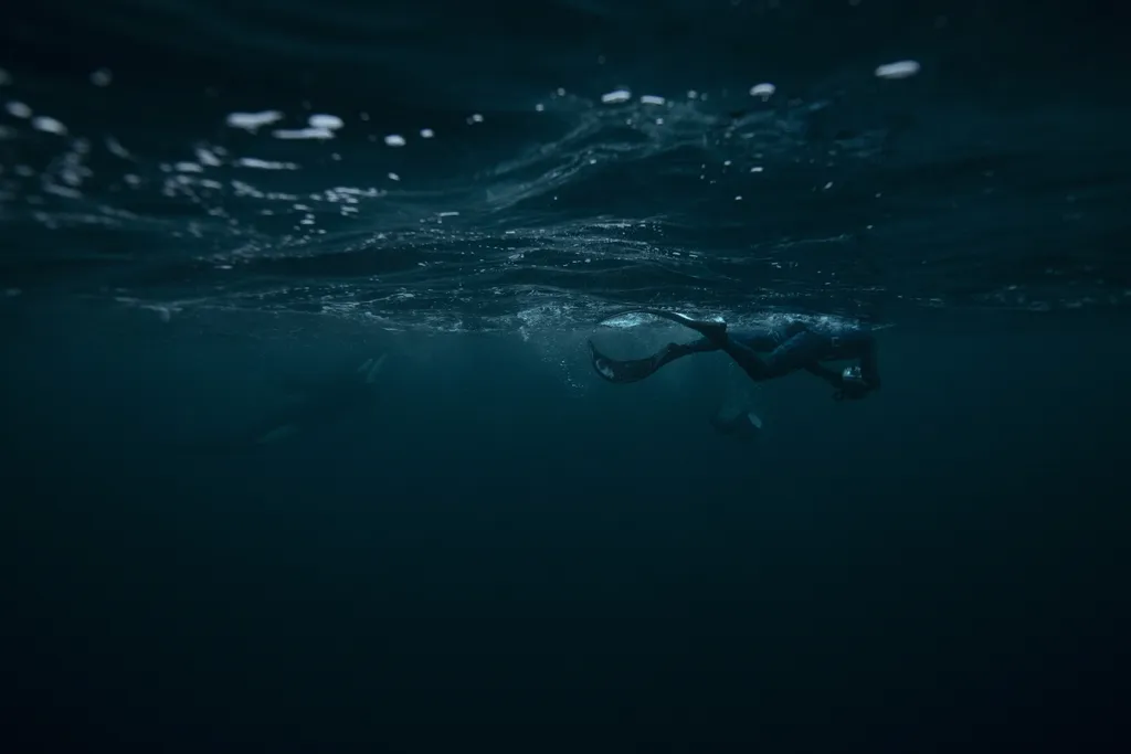 climate environment-pollution nature oceanography Horizontal