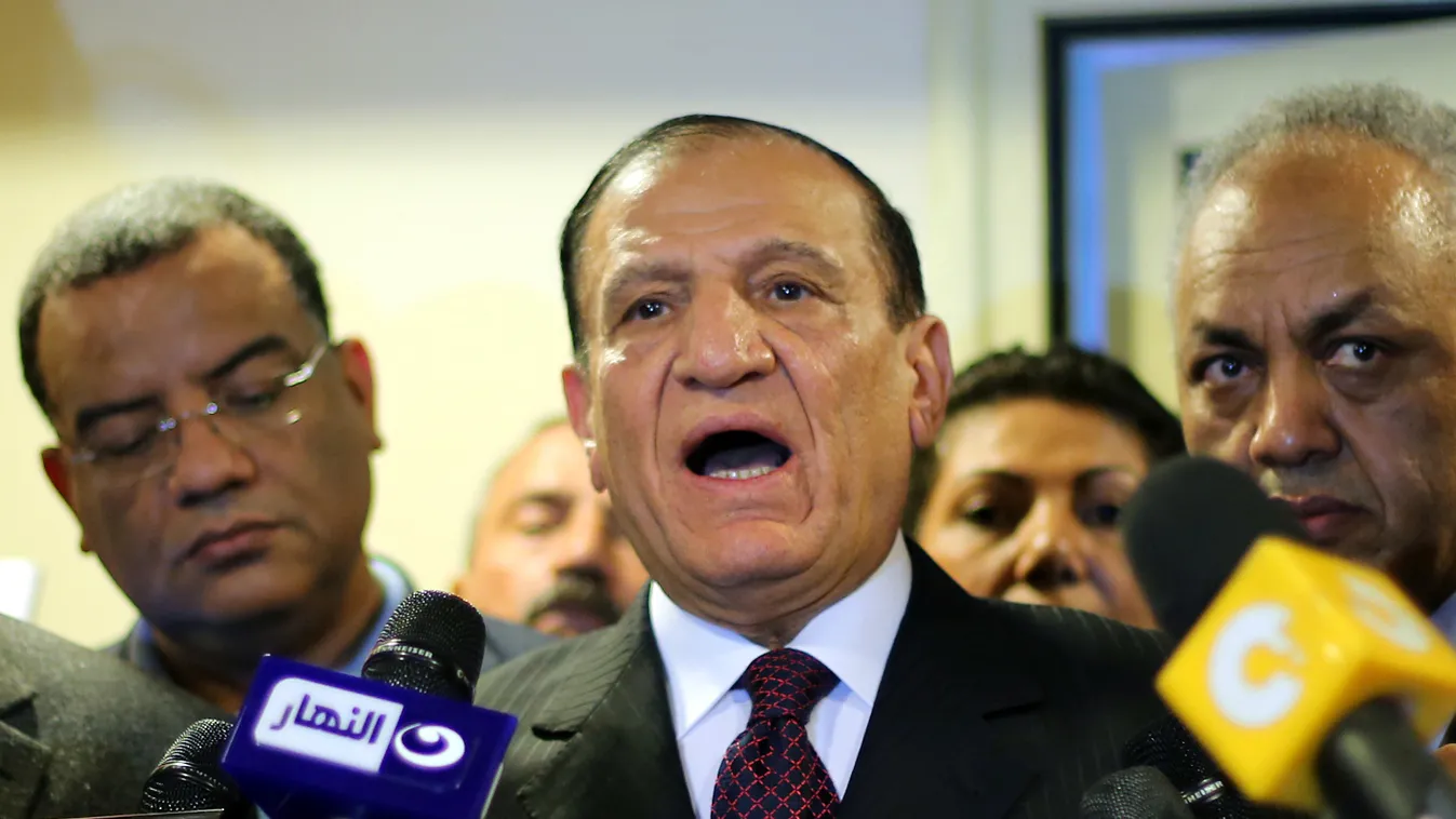 Számi Anan egyiptomi vezérkari főnök, elnök-jelölt 