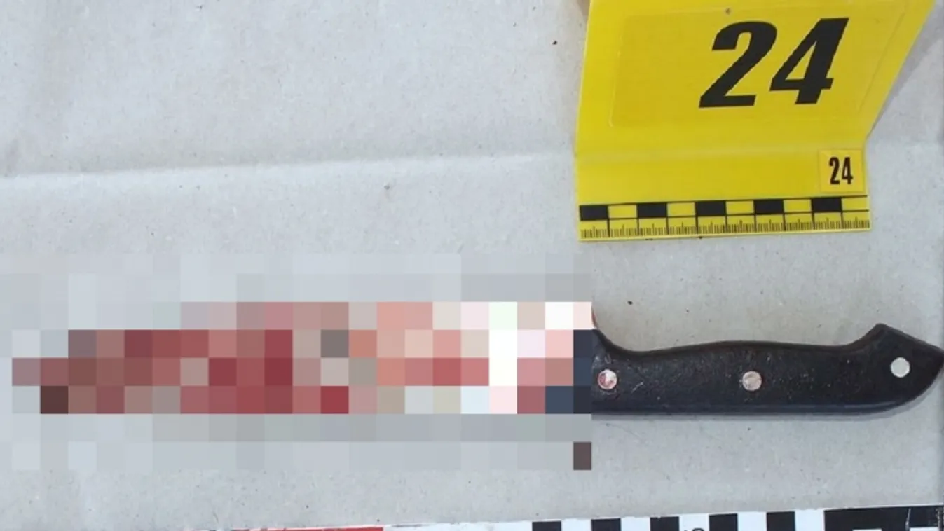 A rendőrség fotója a gyilkossághoz használt késről. 