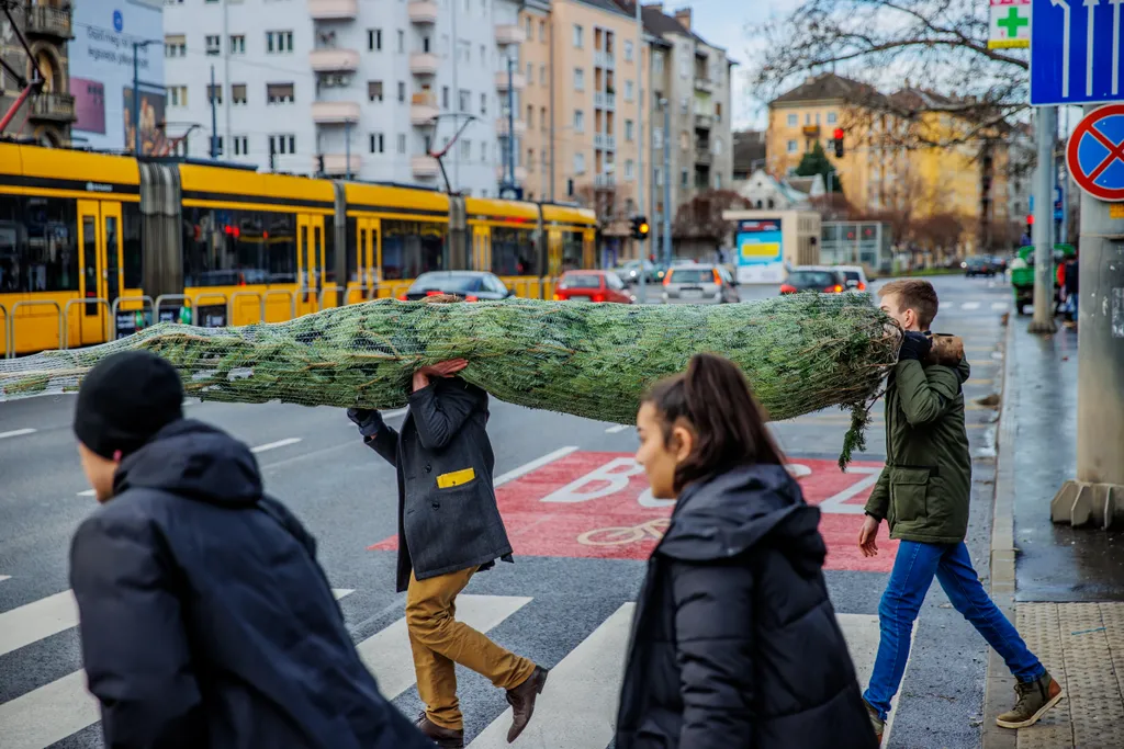 Képeken a szenteste előtt utolsó nagy vásárlási roham, ünnep, karácsony, vásárlás, bevásárlás, ajándék, 2022 