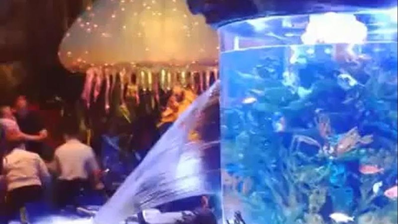 Megrepedt az akvárium a Disney T-Rex nevű éttermében Orlando belvárosában 