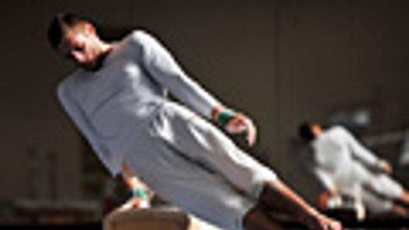 Tata, 2012-es londoni nyári olimpiára készülnek a tornászok, Berki Krisztián tornász 
