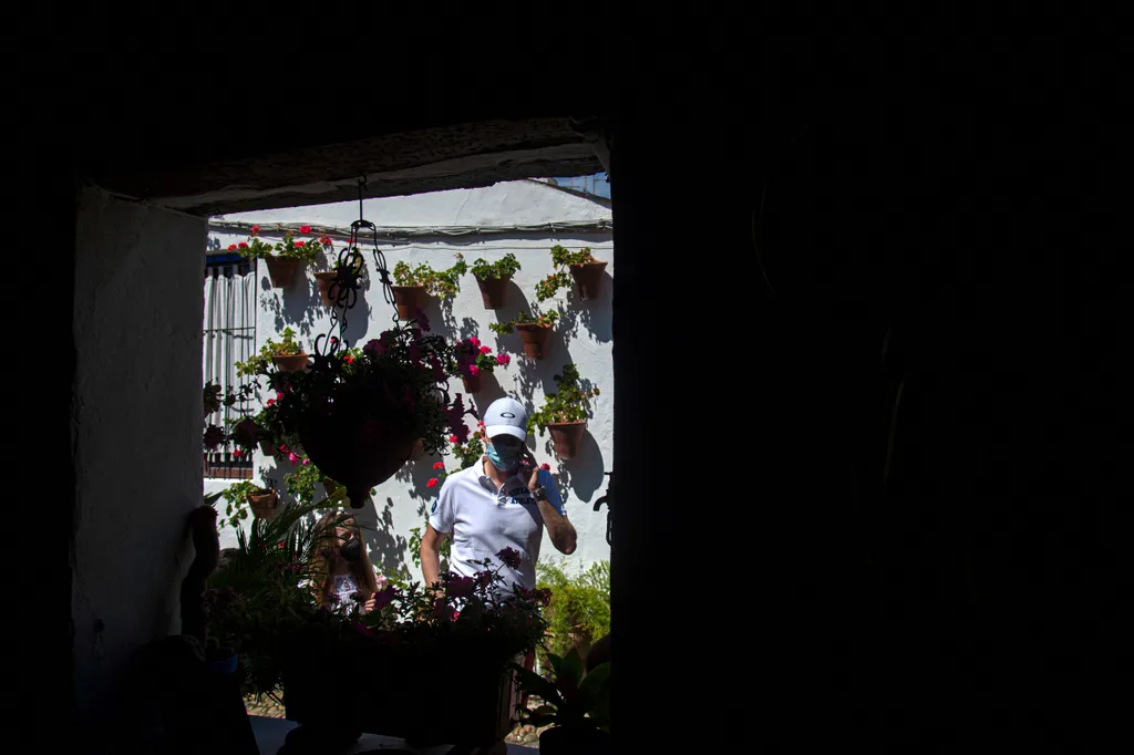 Cordoba Patios Festival Córdoba udavarfesztivál virágok 