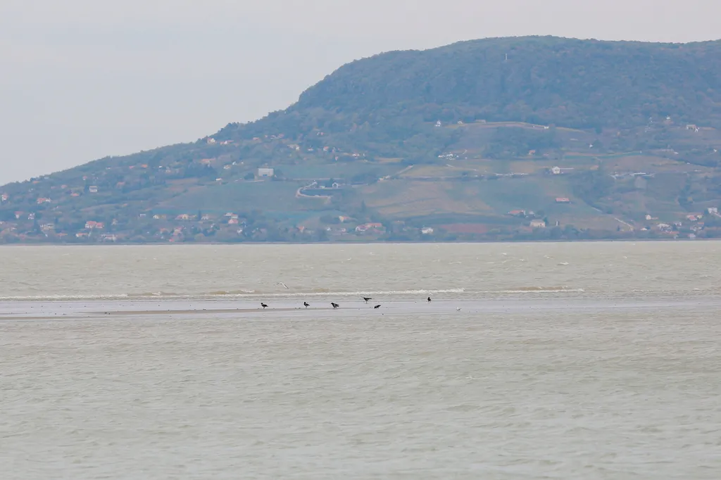 Kibillent a Balaton a viharos szélben 