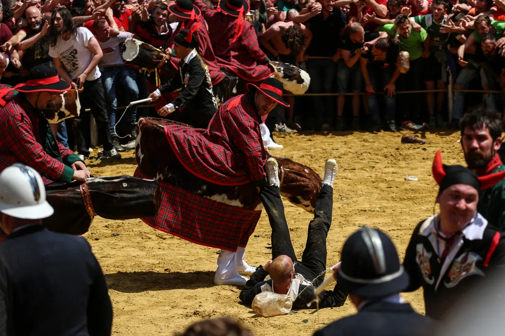 A félelmetes zöld sárkány és Szent György szimbolikus harca, Belgiumban, felvonulás, fesztivál, sárkány, Belgium, belga, Mons, UNESCO világörökség, Ducasse, Doudou, Doudou in Mons 