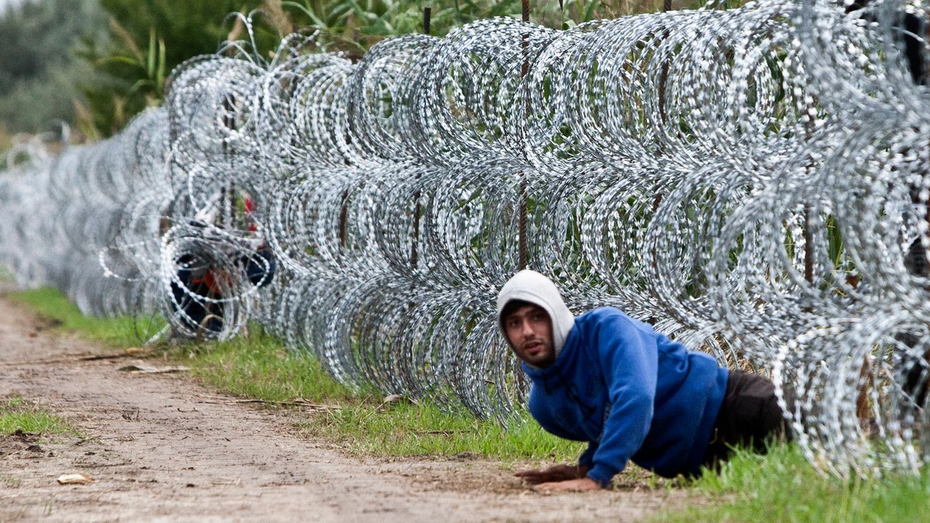 Szerb-Magyar határon kiépített biztonsági kerítés alatt átmászó menekült. A fél kilóméterenként figyelő rendőrök figyelmét kijátszva be lehet osonni az országba. 