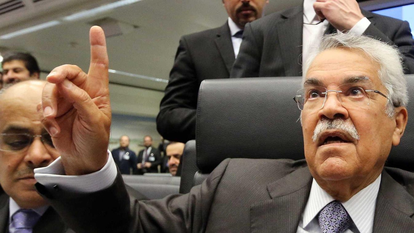 Ali Ibrahim Naimi Saudi Arabia's Minister of Petroleum and Mineral Resources Ali Ibrahim Naimi speaks to journalists prior to the start of a meeting of the Organization of the Petroleum Exporting Countries, OPEC, at their headquarters in Vienna, Austria, 