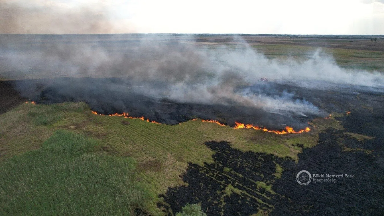 Bükki Nemzeti Park Igazgatóság 