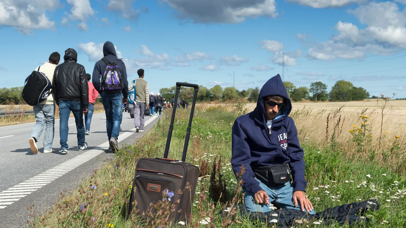 Horizontal REFUGEE ROAD SUITCASE IMMIGRATION IMMIGRANT CONSQUENCES OF WAR 