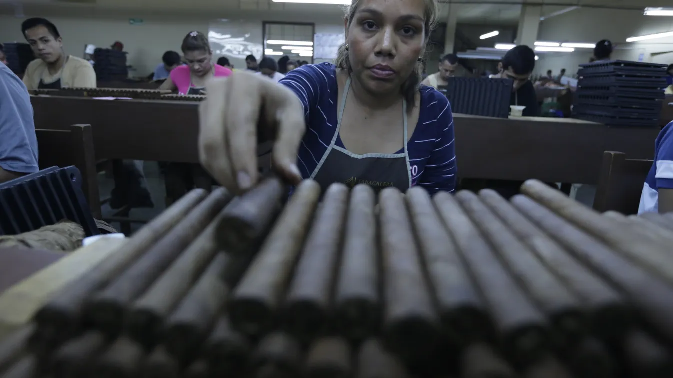 nicaragua dohánytermesztés 
