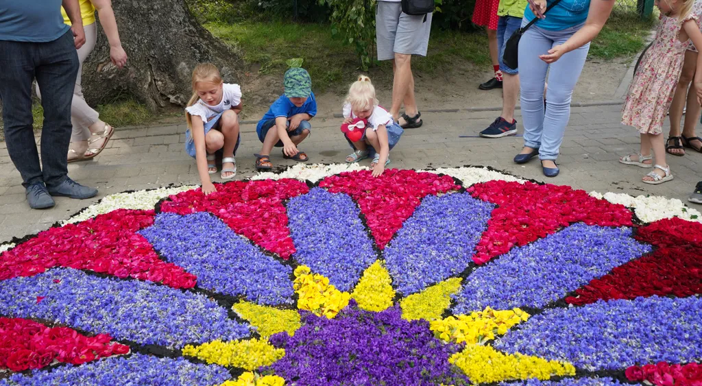 Corpus Christi vallásos körmenet alkalmából virágszőnyeget terítenek le Spycimierzben, Lengyelországban, vallás, kereszténység, felvonulás, virág, virágszirom, ünnep, ünneplés, vallási ünnep 