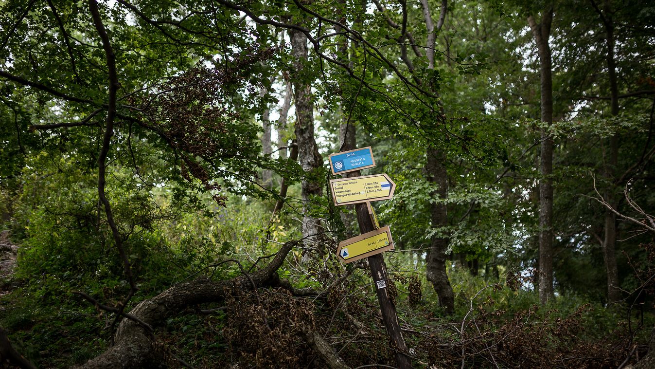 2016. 08. 30. Bükk Bükki Nemzeti Park Erdészet Erdőgazdálkodás Fokozottan védett természeti terület Tábla Túra Túrista jeltés Őserdő 