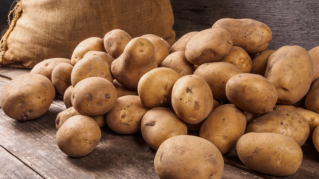 burgonya krumpli 