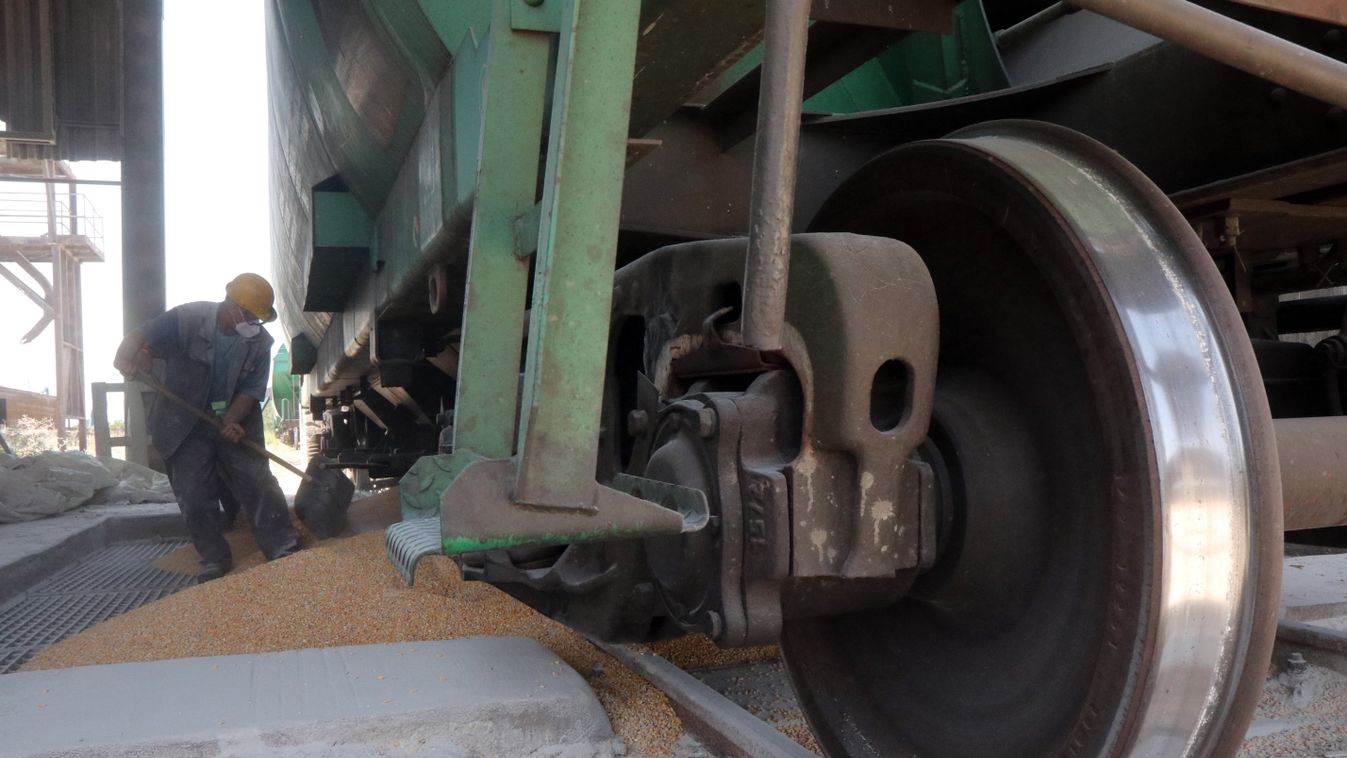 Magyarország segít az Ukrajnában rekedt gabona szállításában 